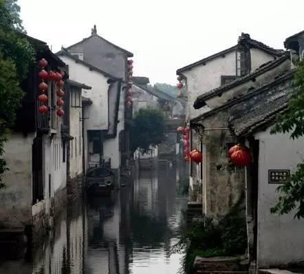 小坑镇:在“绿”字上下足功夫 推进绿美小坑生态建设